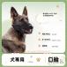 �� ���� �}�Y�� ������ ���̌��� ���ʖi�� ���݂� �E���H���h�~ �}�X�N ���b�V��