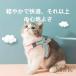 �V�� �L �_�u�����b�N �n�[�l�X �����Ȃ� �O��Ȃ� ���킢�� ������� �E���Ȃ� M��K�i���j ���� ���[�h �ʋC�� �y�b�g �U�� ���v ��