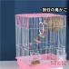  клетка для птиц bird pa отсутствует коралл принадлежности для разведения для бытового использования домашнее животное товары различные промтовары M&K( АО ) хозяйственные товары товары для домашних животных для помещений выход повседневный используя 