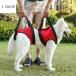  уход для Harness приспособление для ходьбы для Harness пластик пряжка длина настройка возможность товары для домашних животных M&K( АО ) простой orange зеленый средний собака большой собака 