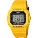 カシオ CASIO G-SHOCK DW-5600 初期カラーリバイバルモデル 日本正規品 #DW-5600REC-9JF