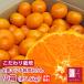 [ предварительный заказ *12 месяц средний . примерно из последовательный отгрузка начало предположительно ]...... все мульти- культивирование мандарин маленький коробка примерно 1.5kg [ Hokkaido * Okinawa. +1100 иен ]mi can меласса . Yokosuka мандарин 