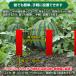 2026�N�ŐV�� �n�N�r�V���΍� ������ ���O�p 10�� ���ރn�N�r�V�� ���h�L��2�{ 1�N���� �V�R���� �A���C�O�} �^�k�L�ɂ� �֘A�摜2