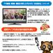 �^�k�L���� ������ ���ރ^�k�L���L�V�[�g5�� ���ʂ��΍� ���h�L����Q�{�̋��̓^�C�v �K�쏜�� �^�k�L�΍� �^�k�L�悯 ���� �֘A�摜1