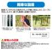 �F ���� ������ ���ރN�}���L�V�[�g3�� ���h�L����Q�{�̋��̓^�C�v ���ʂ͋����̂P�N�ԁI �F������ �N�}���� �N�}�쏜  �F�΍� �F�悯 ���� �֘A�摜4