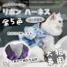  в клетку Harness & Lead комплект лента Harness модный симпатичный шлейка Lead ошейник .. нет прогулка выход Harness кошка собака товары для домашних животных 