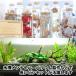 �����O�s���Z�b�g 27cm ��[2��ރZ�b�g �����p �n�[�o���E���p �X�e�����X�� �e�����E�� �����O �n�[�o���E�� �A�N�A���E�� �����A�� �s���Z�b�g �֘A�摜3