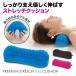NEEDS LABO �j�[�Y���{ �v���~�A���X�g���b�`�Q���N�b�V���� �̈����U ���S�y�� ���N��� �N�b�V���� �Q���f�� �_�C�G�b�g �J�o�[�t�� �v���[���g �M�t�g