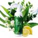 PIRECA ROLLpi Рекаро -ru250ml ( квази наркотики )