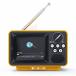 WINTECH TVR-RT1 YL 2.8 дюймовый 1 SEG телевизор retro дизайн радио . можно слушать широкий FM соответствует желтый 
