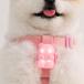 BITE ME �o�C�g�~�[ �W�F���[�x�A���U��LED���C�g�b�� �U�� ���C�g LED ��� �n�[�l�X ���[�h �� �_�� �_�� �[�d�� ���^�� �؍� �֘A�摜2
