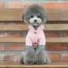 TOTO&ROY ネオプレンフード コート 2Color   S SM M L犬 服 コート 犬の服 ドッグウェア  小型犬 トイプードル  おしゃれ かわいい ドッグ  アウター