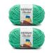 Bernat Blanket Brights GoGo Green Yarn - 2 Pack of 300g/10.5oz - Polyester - 6 Super Bulky - 220 Yards - Knitting/Crochet