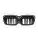Dry Carbon Fiber + ABS Conjoined Double Slat Sport Kidney Grille ¹͢