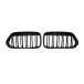 Car Front Kidney Grille Compatible For BMW X2 F39 2018 2019 2020 ¹͢
