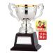  чемпионский кубок бесплатная доставка высота примерно 255mm Trophy чемпионский кубок Golf бейсбол футбол баскетбол волейбол дзюдо kendo каратэ GA324-L
