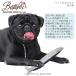 �yBESTEVER�z�� �������� �y�b�g �g�C ������ �ꏏ�ɗV�� ���Ǝ��ԁyLOVE PETS by BESTEVER�z �H���� �T���}�@ �֘A�摜1