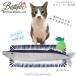 �yBESTEVER�z�� �������� �y�b�g �g�C ������ �ꏏ�ɗV�� ���Ǝ��ԁyLOVE PETS by BESTEVER�z �H���� �T���}�@ �֘A�摜3