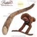 �yBESTEVER�z��  �������� �y�b�g�g�C ������ �X�g���X���� �ꏏ�ɗV�ԁyLOVE PETS by BESTEVER�z�S�{�E ���ڂ� ����