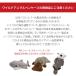 �yBESTEVER�z�ʂ������ �y���P�[�X  ���� �A�j�}�� �y���C���h�A�j�}���y���P�[�X�z�J���m�n�V �֘A�摜3