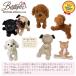 �yBESTEVER�z�� �ʂ������ ���A�� �e��  �y Premium Puppy �v���~�A�� �p�s�[�z�`���� �X���[�X �`���R�^�� �֘A�摜2