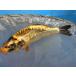  цветной карп 17cm Германия золотой дракон желтый золотой оттенок золота . другой неизвестен. No.0432