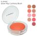 MAC Mac g трос Ray kshoni- brush 7.3g цвет выбор почтовая доставка бесплатный [B][BP3]