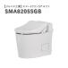 ja лак промышленность [SMA8205SGB] Smart k Lynn 3 Alpha Smart Clean3α general area пол осушение осушение сердцевина 120mm*200mm чисто-белый BW1 туалет 