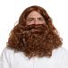 [ параллель импортные товары ]Jesus Wig and Beard, Halloween Costume Wig For Men, Women, Big K