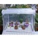 ¹͢ʡۥߥ˲ƥȲ΢¿ʪѿʪСɱݡ֥եƥȥ륿6 Mini Greenhouse