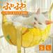 �y�b�g�x�b�h �n�����b�N �L�p�n�����b�N ���u���� �݂艺���� �ی^ �H�~ �������� �L�����p S/L ���������\ ���t���ȒP �����΍�
