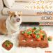 �y�b�g�������� �m�[�Y���[�N �ɂ񂶂� �y�b�g �������� �� �ɂ񂶂� ���� �L �˂� �m�[�Y���[�N �m��ߋ� �ʂ������ �l�Q �L�m�R ����� �g�C �m��g�C