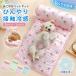  домашнее животное bed собака кошка летний прохладный коврик охлаждающий коврик .... домашнее животное коврик ... . подушка имеется .... средний . меры ... собака для кошка для для помещений весна лето охлаждающий товары 