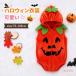  Halloween костюм baby Kids ребенок тыква тыква детский комбинезон костюм мульт-героя костюмированная игра маскарадный костюм костюм младенец девочка мужчина детский Halo we n