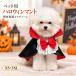�n���E�B�� �y�b�g�� �z���S �}���g �P�[�v �� �L �y�b�g�R�X�v�� �����ߑ� �h�b�O�E�F�A �L���b�g�E�F�A ���p �L�p �R�X�`���[�� �ʐ^�B�e �C�x���g �p�[�e�B�[