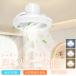  с вентилятором освещение 50cm вентилятор один шт. 3 позиций циркулятор имеется .... тип обратное вращение режим установка тонировка / style свет / поток воздуха регулировка Alexa/Google шея .. ручной настройка интерьер освещение . промежуток 