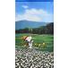 �̂��@�g���@�X�k�[�s�[  SNOOPY�@�X�k�[�s�[�Ǝl�G�@�t�@85�~150cm�@PEANUTS  ���{���@