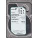 Dell ST31000424SS 1TB 7.2K SAS 3.5 6G ST31000424SS