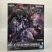 BANDAI Bandai пластиковая модель 1/100 полный механизм niks Raider Gundam не использовался . близкий 