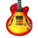 EPIPHONE Epiphone ALLEYKAT жесткий чехол имеется немного царапина . загрязнения есть 
