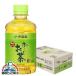 ���[������ �Β� �������� �ɓ��� ���`������ �Β� 280ml�y�b�g�{�g���~1�P�[�X/24�{(024)�wITO�x