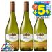  белый вино wine бесплатная доставка солнечный talitas Lee медаль z автомобиль rudone750ml×3шт.@(003) Chile вино 