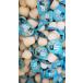 �v���[���[16g 1��50��  KB�t�@�[�� �������� �J�u�g���V �N���K�^���V �u���[�h�ɂ���������