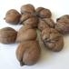  Shinshu производство ..... имеется (1kg)[ Kobayashi много мужчина магазин ]