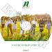 K-POP DVD NATURE 2022 2nd PV/TV - LIMBO ͥ㡼 KPOP DVD