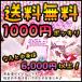(送料無料1000円ポッキリ) 売り切れ次第終了 ☆ネイルデコ福袋☆ ネイル用品・デコシール・デコパーツ盛りだくさん J40-ailset