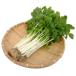  fresh water culture; vegetable Mini white celery business use rose KG.