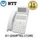[ прекрасный товар ]A1-(24)IPTEL-(1)(W)(...k громкий соответствует IP для ) NTT A1 телефон бизнес ho n24 кнопка IP стандарт телефонный аппарат ( белый )