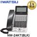 [ прекрасный товар ]NW-24KT(BLK) IWATSU скала через Frespec телефон бизнес ho n24 кнопка стандарт телефонный аппарат ( чёрный )