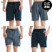 (14 день -30 день. бонус магазин +5%)( официальный ) leaf SURF STRIPE19 SHORTS спортивные шорты 2026 год весна лето модель все 2 цвет S/M/L/XL REEF